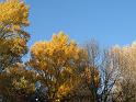 Manosque (3)
